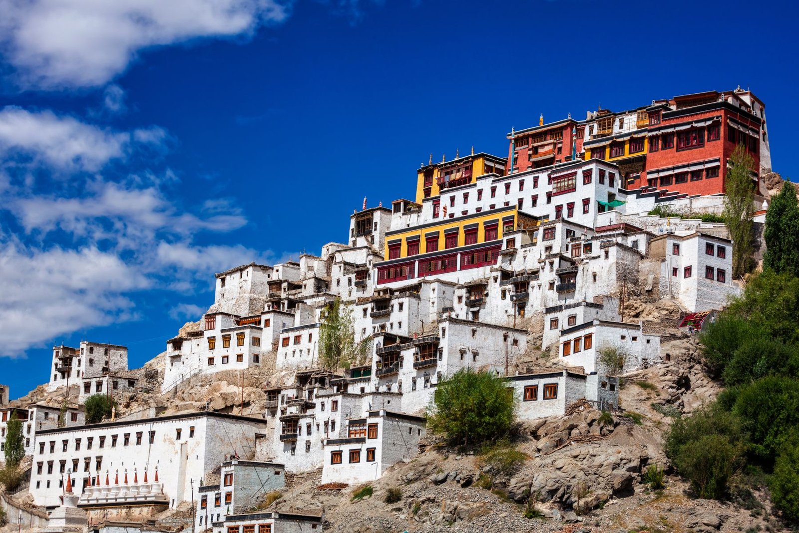 manali and leh ladakh tour packages