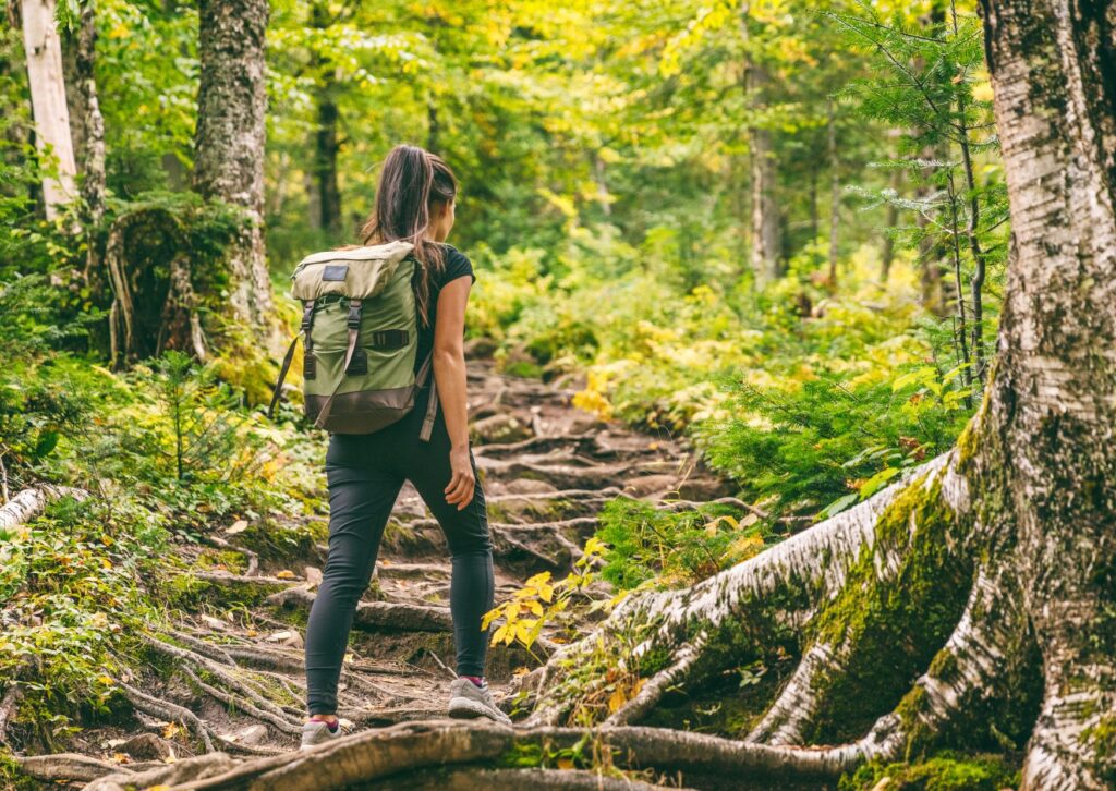 Trekking in Manali